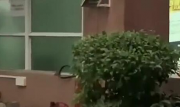 丽水今日吃瓜新闻,今日吃瓜新闻揭秘惊人内幕