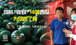 今日吃瓜播报最新,娱乐圈最新热点事件大盘点