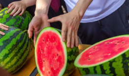 运城今日吃瓜新闻报道最新,今日吃瓜新闻揭秘背后真相