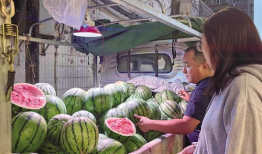今日吃瓜行情怎么样,热点事件盘点与舆情分析